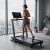 Беговая дорожка CardioPower Masters 3 Беговая дорожка CardioPower Masters 3