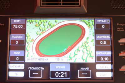 Беговая дорожка AeroFIT Pro 8800TM 10"LCD