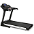 Беговая дорожка CARBON PREMIUM WORLD RUNNER T2